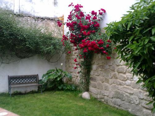 Apartamentos Tur�sticos El Losal