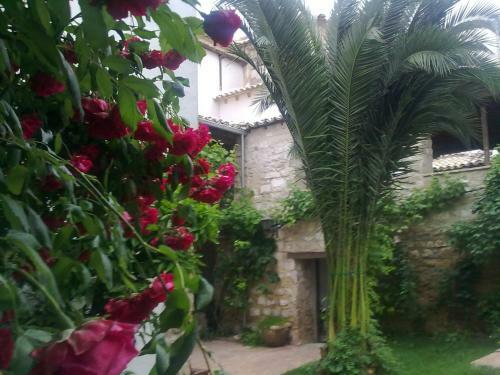 Apartamentos Tur�sticos El Losal