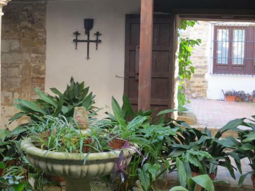 Apartamentos Tur�sticos El Losal