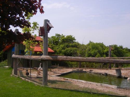 Duck Pond B&B Cottage