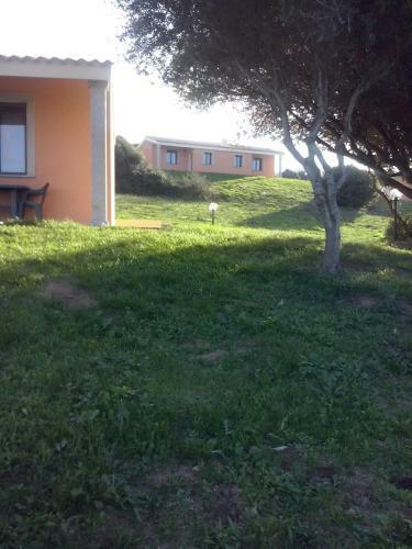 Agriturismo Gli Olivastri