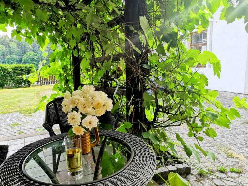 Chalupa Bran?e? Kom�rovsk� Rybn�k