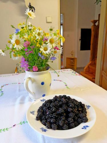 Chalupa Bran?e? Kom�rovsk� Rybn�k