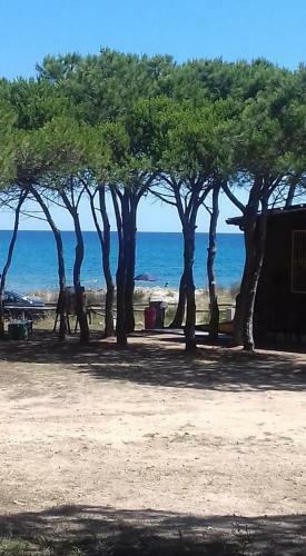 Apartamento Appartamento Vecchia Pineta 2