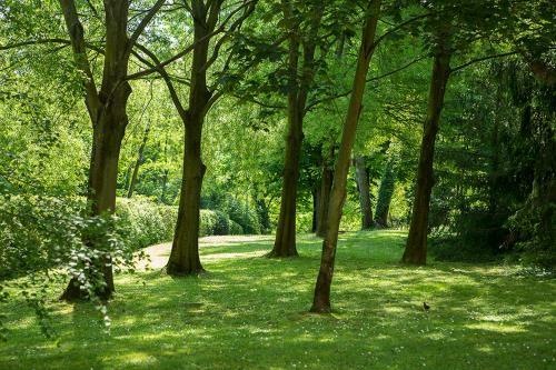 Apartamento Residenza Bellaria Park "hills View"