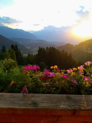 Apartamento Natur Deluxe Riesen
