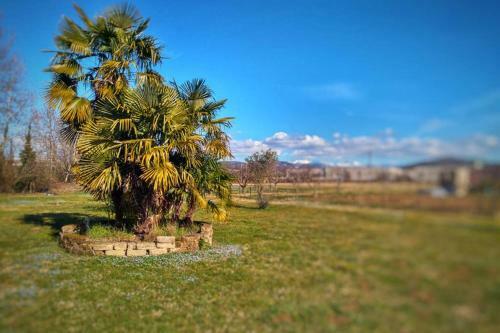 Apartamento Casa Agnese Verona Appartamento 4 Posti Letto