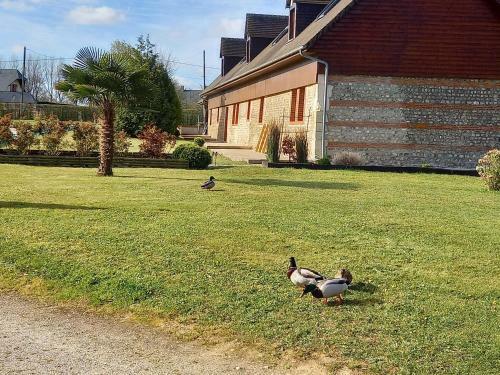 Bed & Breakfast Chambres Et Gites D'�tretat