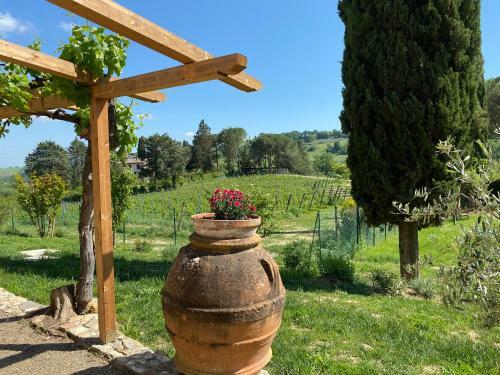 Agroturismo Tenuta Sovestro