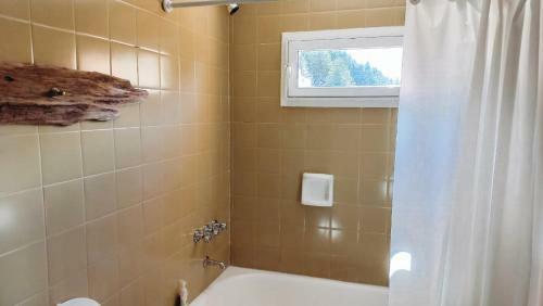 Apartamento Departamento C�ntrico Con Vista Al Lago