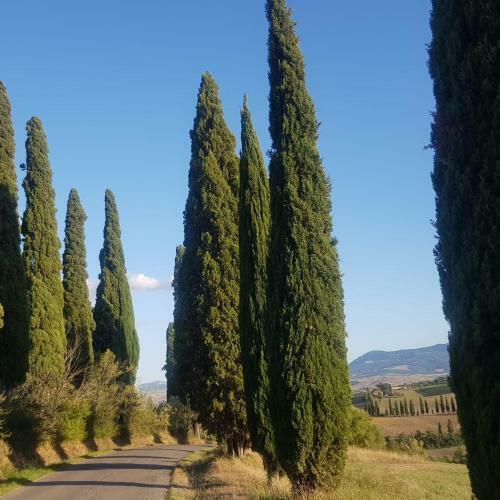 Apartamento Casa Dei Trenta