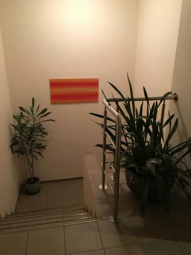 Rocca Apartments