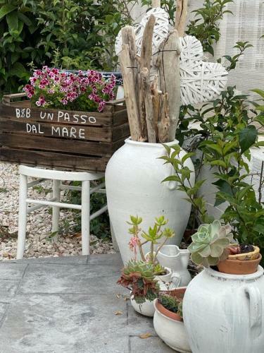 Un Passo Dal Mare Bed&breakfast San Salvo Marina