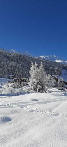 Apartamento Casa Vacanze Michela