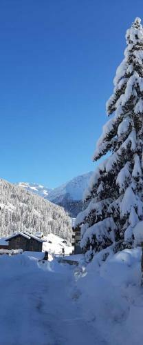 Apartamento Casa Vacanze Michela