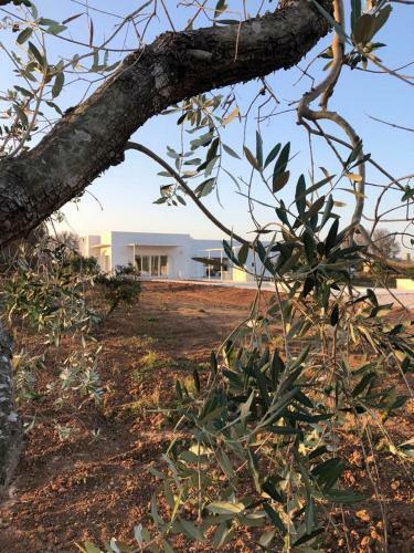 Villa Casa Bianca Di Porto Selvaggio