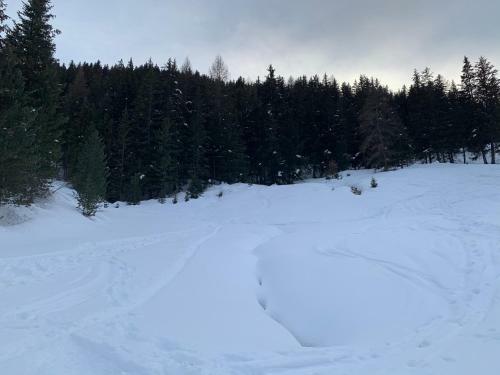 Apartamento Alloggio Belvedere, Con Accesso Diretto Sulle Piste Da Sci