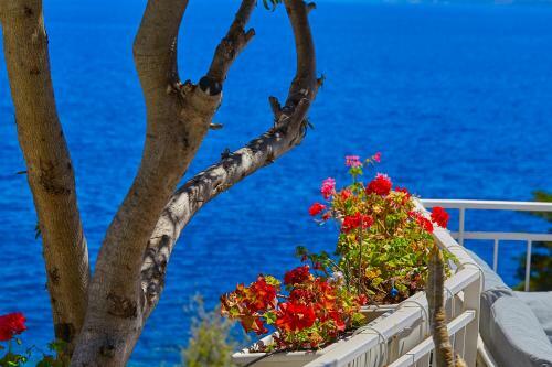 Casa Mam� Private Access To Sea