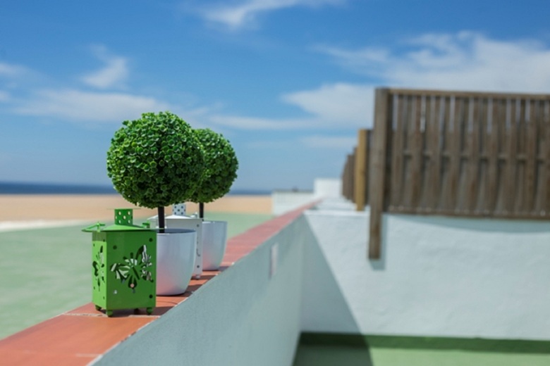 Apartamentos Calypso