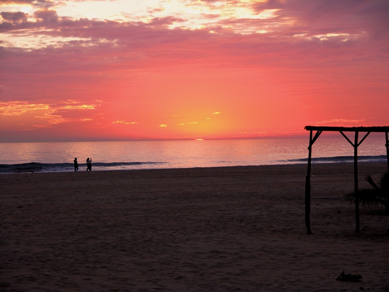 Apartamentos Calypso