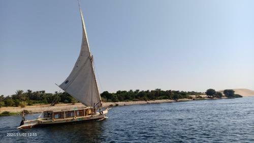 Jj Jamaica Felucca