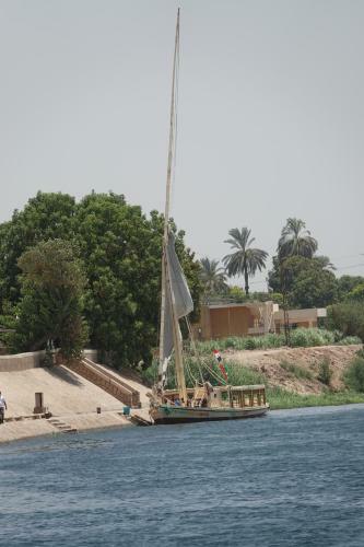 Jj Jamaica Felucca