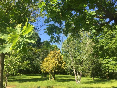 Happy Hill -appartamento Quercia