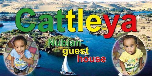 Hostal Cattleya Nubian Guest House