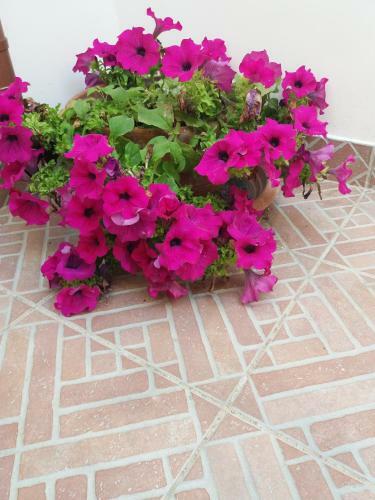 Casa Vacanze Annette