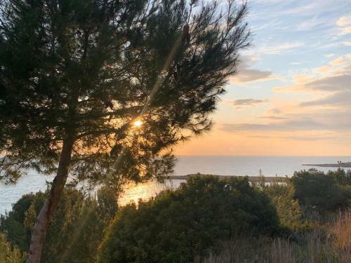 Appartamento 150m Dal Mare A Santa Maria Al Bagno