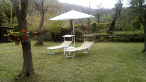 Lo Chalet Tra Gli Ulivi