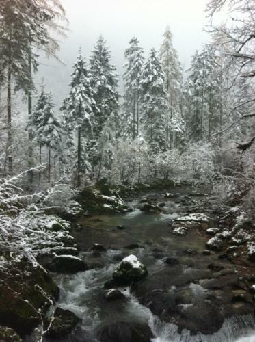 Hostal Gasthof Bergfried