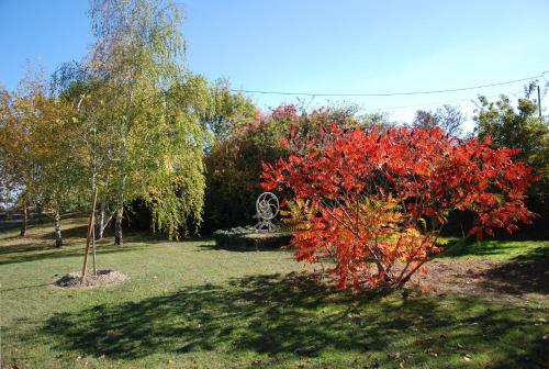 Bed & Breakfast Bordeneuve Spa Et Bien-�tre