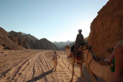 Hotel Dahab Beach Lodge