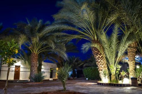 Hotel ?miramar Camp Dahab??