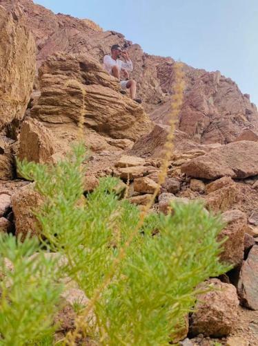 Apartamento Swiss Royal Dahab