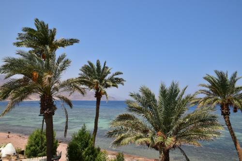Sky Caba�a Dahab