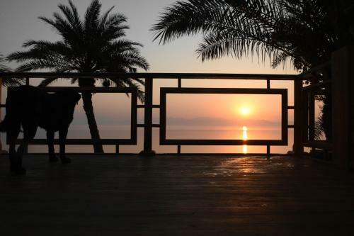 Sky Caba�a Dahab