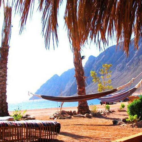 Hibiscus Dahab House