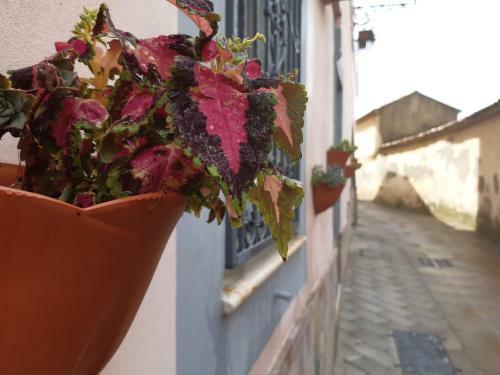 Apartamento Appartamento Per Turisti Filoxenia