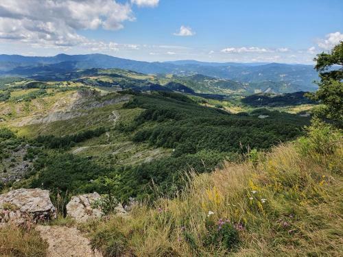 Nel Cuore Delle Colline Marchigiane