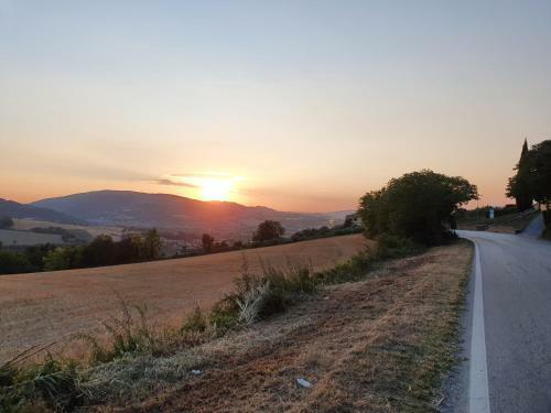 Nel Cuore Delle Colline Marchigiane