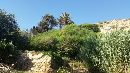 Bed & Breakfast Tigmi Blue - Imsouane Surf Et Oc�an