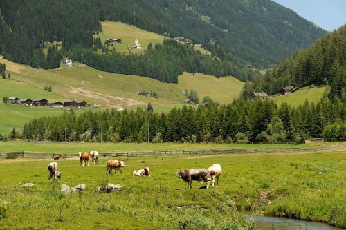 Apartamento Moserhof Ferienwohnung Reinegg