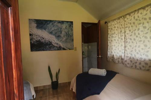 Albergue Los Pinos De Torio