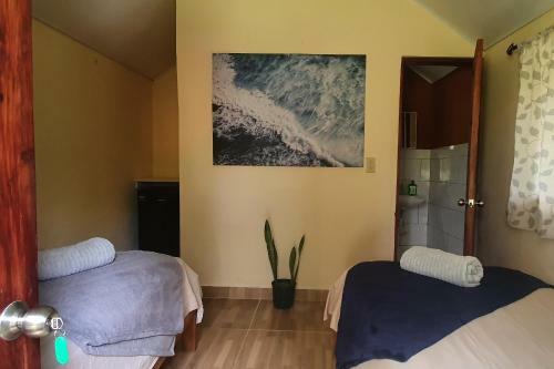 Albergue Los Pinos De Torio