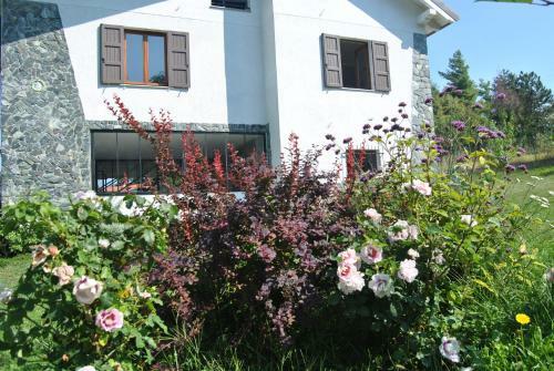 Bed & Breakfast L' Assiolo B & B