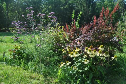 Bed & Breakfast L' Assiolo B & B