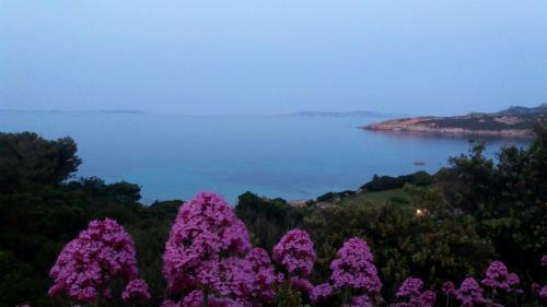 Apartamento Appartamento Fronte Mare