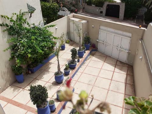 Villa Majorelle City Center
